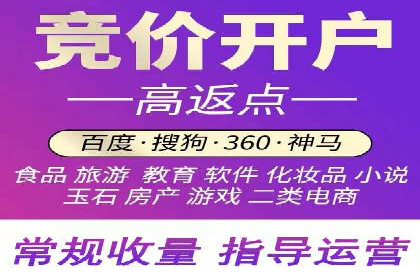 竞价端口开户后的广告投放策略案例